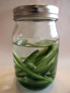 Jalapenos steeping in Tequila